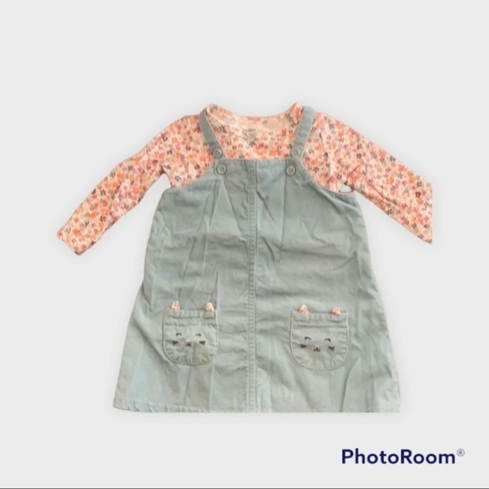 Carter’s Light blue and flower jumper outfit 009